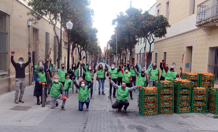 Después de una larga jornada los voluntarios recogieron 800 kilos de naranjas. - Foto: Ajuntament de Barcelona