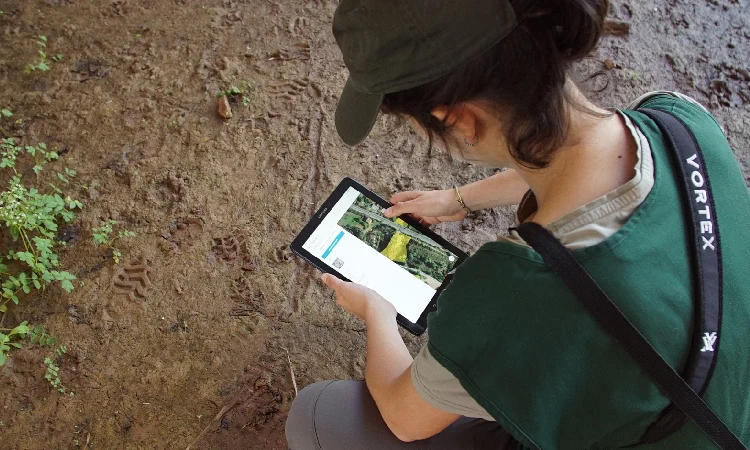 2.500 especies de flora y fauna conviven en el ámbito del Llobregat