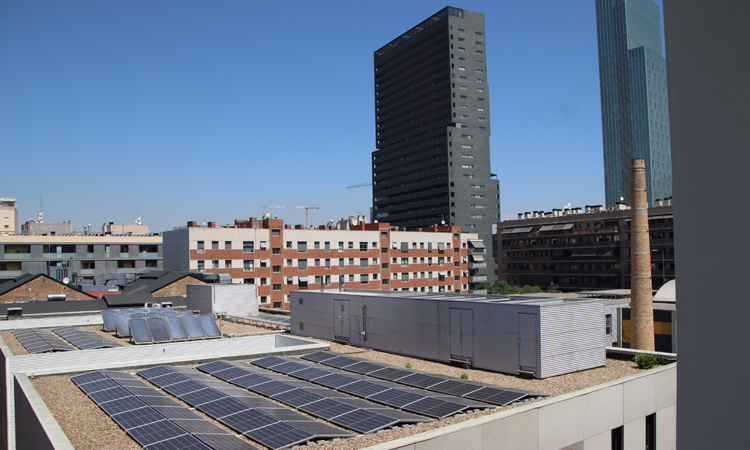 Las placas fotovoltaicas ubicadas en el tejado del instituto.