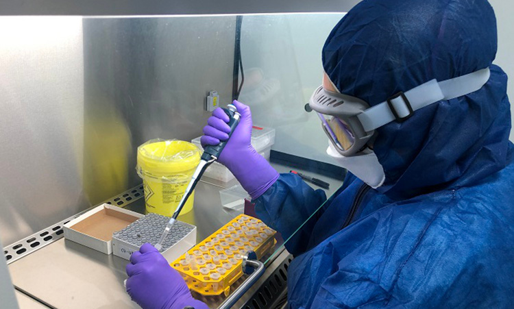 Una trabajadora analiza una muestra de PCR en el laboratorio de Hipra. - Foto: ICS Girona