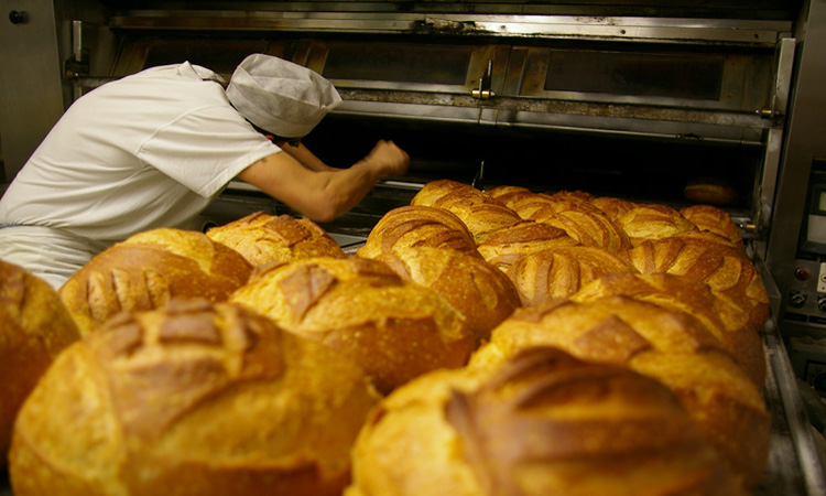 En el mundo de la panadería hay muchos puestos de trabajo por cubrir.