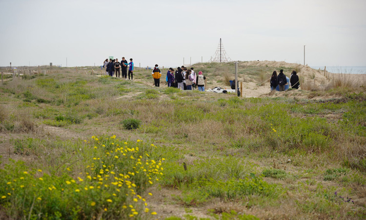 Los alumnos colaboran en la conservación de las plantas autóctonas del delta del Llobregat.