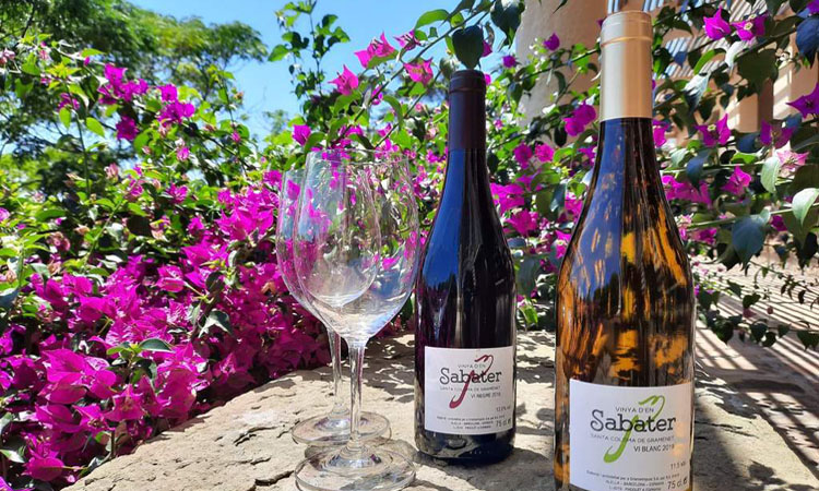 El vino de la Vinya de Can Sabater ya forma parte de la D. O. Alella.